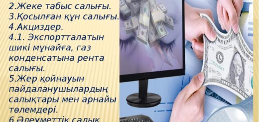 Акциздер салығы презентация